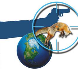 中國全球“獵狐”戰(zhàn)果豐碩！