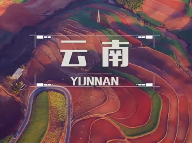 面向全球，直播“一帶一路”！——古道新生云之南