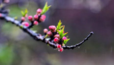隨心而行，走走停停始終精彩。