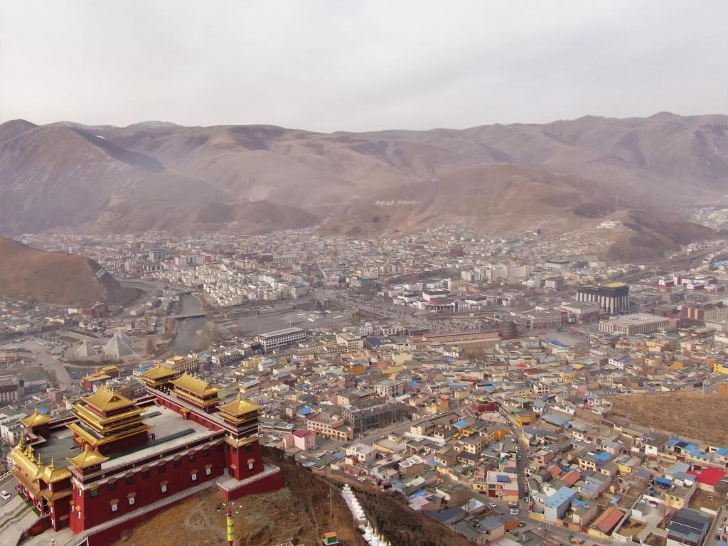 震后11年，玉樹正芳華