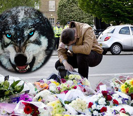 血案頻發(fā) "獨(dú)狼"緣何兇猛？